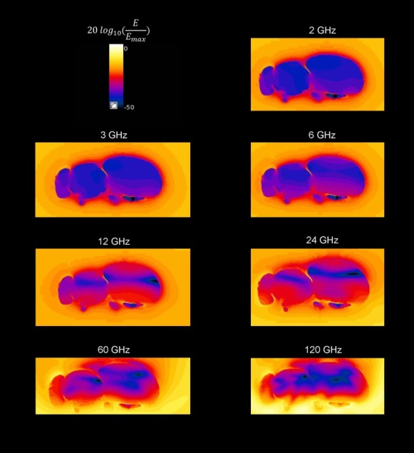 RF absoption of 5G in bees 2 3 6 12 24 60 120 Ghz.jpg