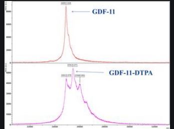 dietyylitriamiinipentaetikkahappo GDF11 booster.JPG