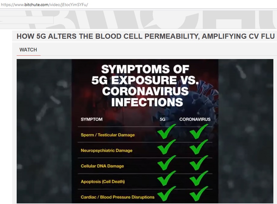 how 5G alters blood cell permeability.jpg